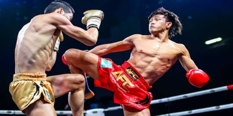 Bí quyết cá cược quyền Thái ONE Championship phân tích võ sĩ