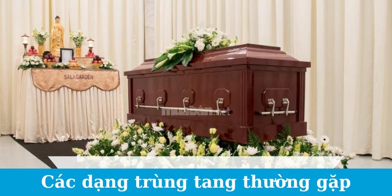 Các dạng trùng tang thường gặp