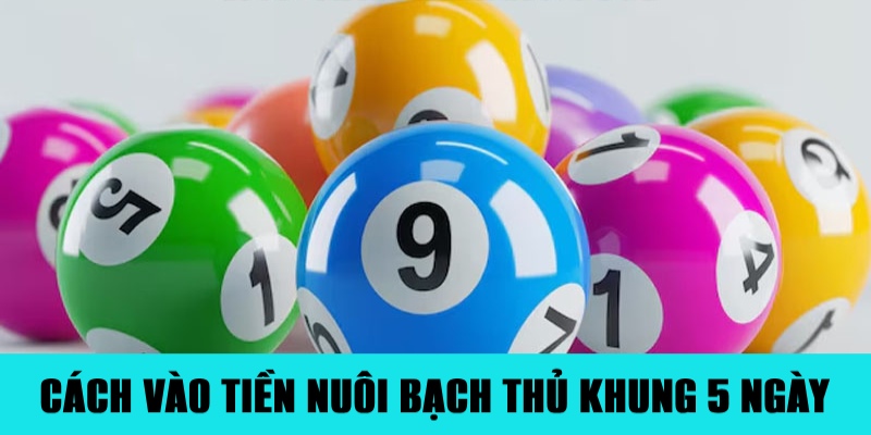 Công thức vào tiền chuẩn khi nuôi bạch thủ 5 ngày