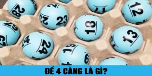 Đề 4 càng là gì