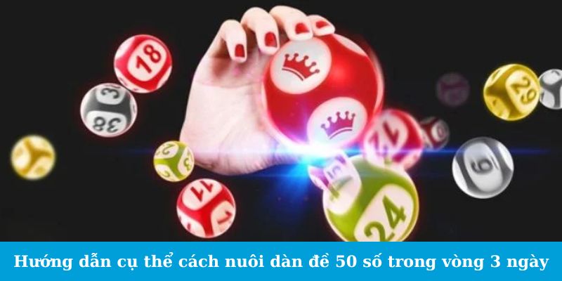 Hướng dẫn cụ thể cách nuôi dàn đề 50 số trong vòng 3 ngày