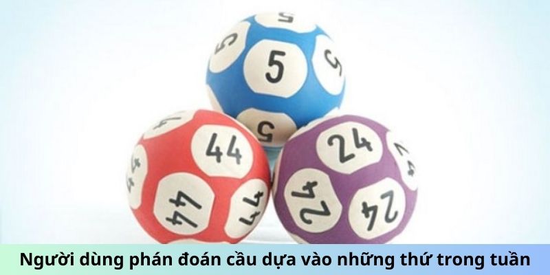 Người dùng phán đoán cầu dựa vào những thứ trong tuần