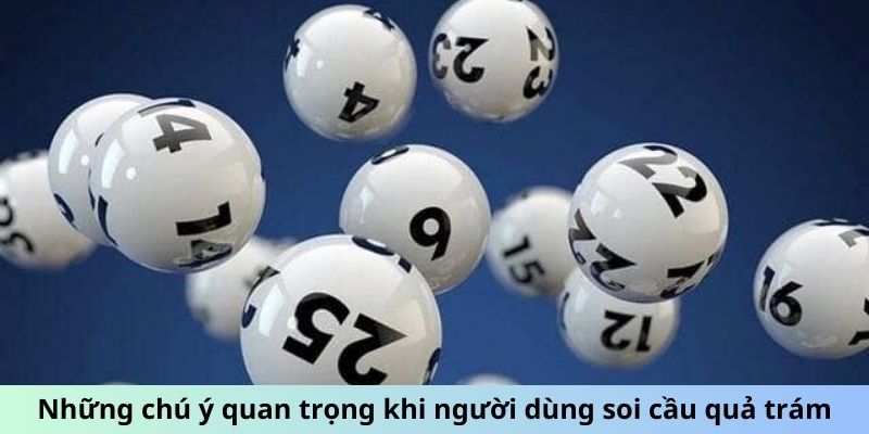 Những chú ý quan trọng khi người dùng soi cầu quả trám