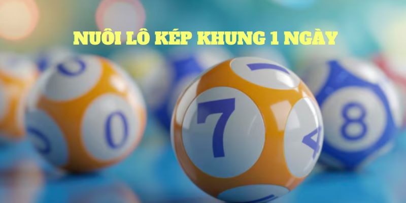 Những tips nhỏ để nuôi lô kép khung 1 ngày dễ trúng