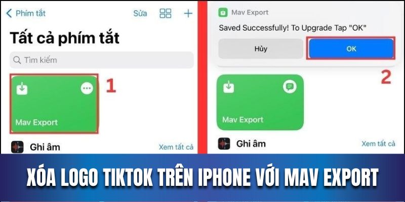 Hướng dẫn người dùng để xóa logo TikTok trên iPhone với Mav Export