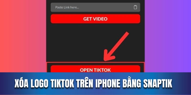 Hướng dẫn người dùng xóa logo TikTok trên iphone bằng SnapTik  