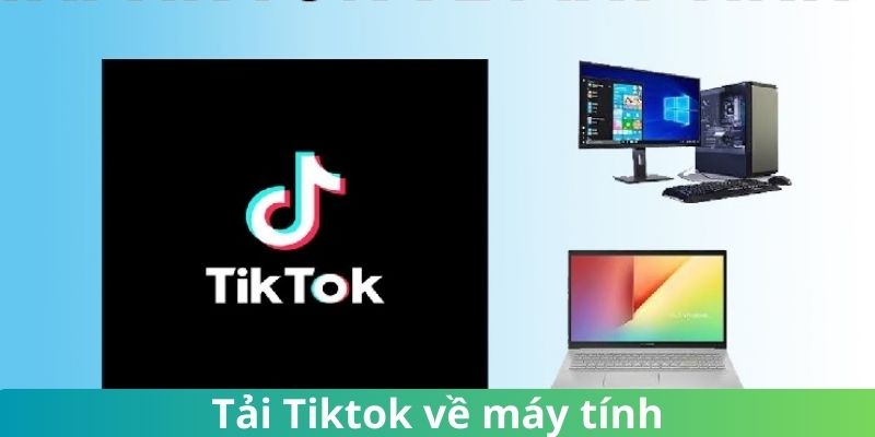 Thực hiện tải TikTok về máy tính bằng các bước đơn giản