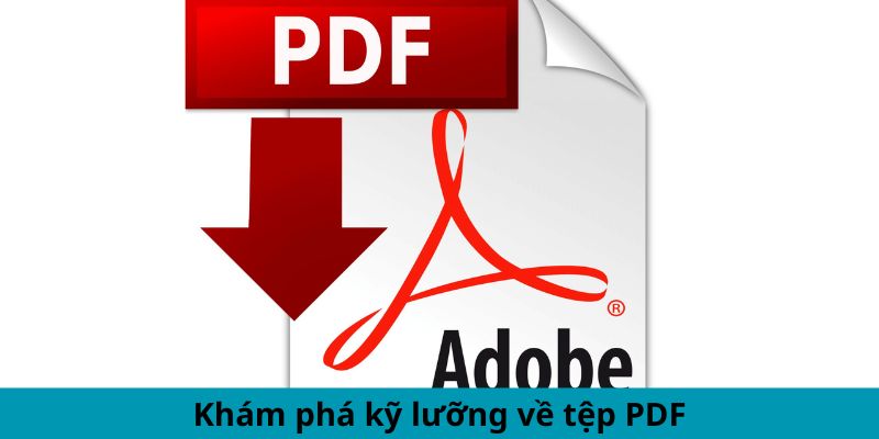 Khám phá kỹ lưỡng về tệp PDF