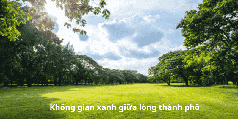 Không gian xanh giữa lòng thành phố 