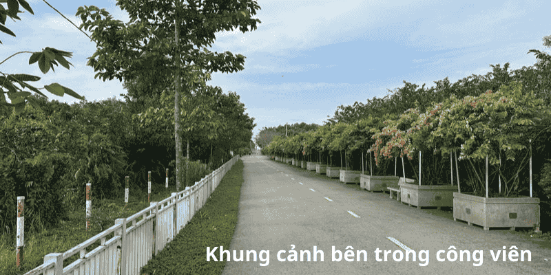 Khung cảnh bên trong công viên 