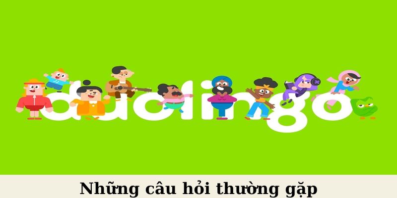 Những câu hỏi thường gặp