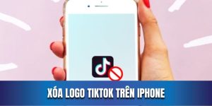 Hướng dẫn người dùng để xóa logo TikTok trên iPhone với Mav Export